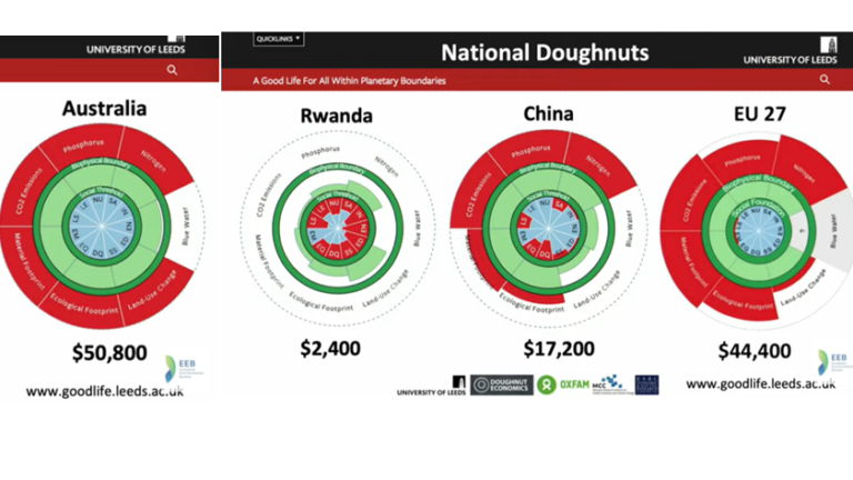 economic doughnut